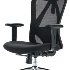 SIHOO M18 Ergonomic Office Chair for Big and Tall People Adjustable Headrest