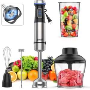 Ganiza Immersion Blender 5 in 1 Hand Blender Max 1000W Heavy Duty Motor