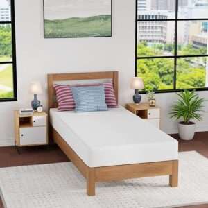FDW 8 inch Gel Memory Foam Mattress for Cool Sleep & Pressure Relief