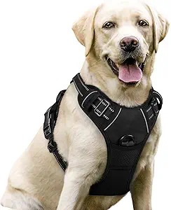 rabbitgoo Dog Harness No Pull with 2 Leash Clips, Adjustable Soft Padded, Reflective Oxford