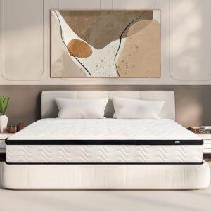 Queen Mattress 10 Inch | Queen Size Hybrid Mattresses in a Box | Medium Firm Feel Memory Foam