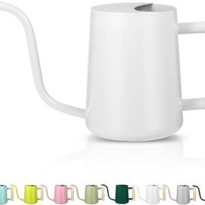 Watering Can Indoor Plants, 35oz Small Watering Can Indoor Stainless Steel