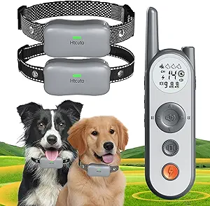Wireless Dog Fence System Electric Fence for Dogs Training Collar with Remote 856