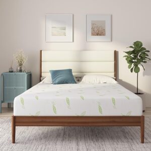 NapQueen Queen Size Mattress, 8 Inch Anula Green Tea Infused Memory Foam Mattress